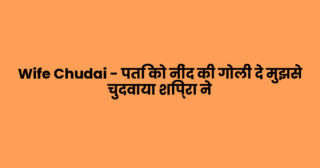 Wife Chudai – पति को नींद की गोली दे मुझसे चुदवाया शिप्रा ने