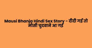 Mausi Bhanja Hindi Sex Story – दीदी गई तो मौसी चुदवाने आ गई
