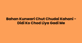 Bahan Kunwari Chut Chudai Kahani – Didi Ko Chod Liya Gadi Me