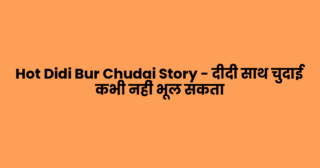 Hot Didi Bur Chudai Story – दीदी साथ चुदाई कभी नहीं भूल सकता