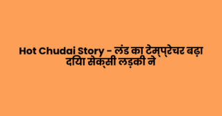 Hot Chudai Story – लंड का टेम्प्रेचर बढ़ा दिया सेक्सी लड़की ने