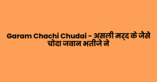 Garam Chachi Chudai – असली मर्द के जैसे चोदा जवान भतीजे ने