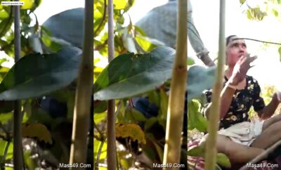 Desi Lover Outdoor Fucking Leak