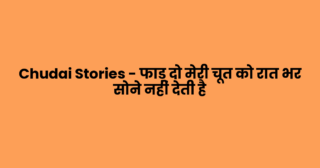 Chudai Stories – फाड़ दो मेरी चूत को रात भर सोने नहीं देती है