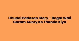 Chudai Padosan Story – Bagal Wali Garam Aunty Ko Thanda Kiya