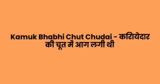 Kamuk Bhabhi Chut Chudai – किरायेदार की चूत में आग लगी थी