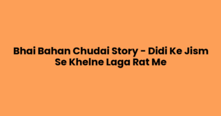Bhai Bahan Chudai Story – Didi Ke Jism Se Khelne Laga Rat Me