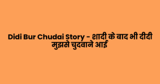 Didi Bur Chudai Story – शादी के बाद भी दीदी मुझसे चुदवाने आई