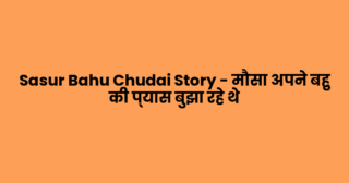 Sasur Bahu Chudai Story – मौसा अपने बहु की प्यास बुझा रहे थे